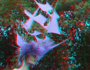 ZodoZ 3D  Extrema Outdoor 2014 : Extrema Outdoor, Aqua Best, XO Live